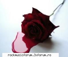 rose poze dark,din aici