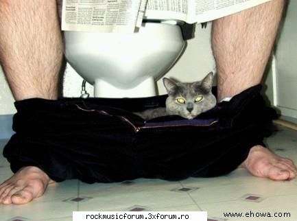 funny - za_punk_grl - Poze
