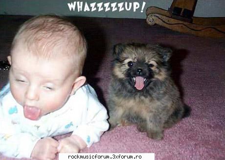 funny - Tzyka - Poze
