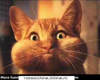 killyourself... - bine zici... you're CRAZZZZYYYYYY!!!!!!!!! - Everything