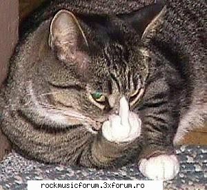 pur shi simplu punk... - lickmyshoes24 - Punk Rock-ul